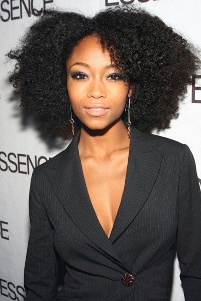 afro hairstyle gallery. twist afro hairstyle